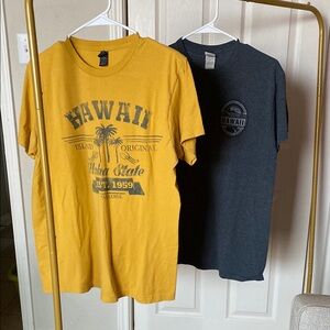Hawaii Graphic T-Shirts